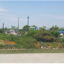 뚝섬한강공원-68 이미지