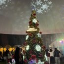 온천공원 | 대전 유림공원 2025 유성온천 크리스마스 축제 다녀온 후기