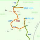 대전둘레산길(9구간) Daum카페