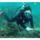 관우 합기도 이미지