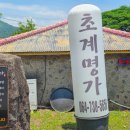 국수의명가 | 제주 서귀포 여름맛집 찾는다면? 초계명가 찰보리초계국수 후기