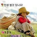 늙음의 미학(美學)과 인생무상(人生 無常)-심중한담 이미지