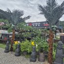 부뚜막생삼겹 이미지