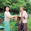 두메골 네이버블로그
