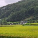 적중농장 이미지