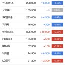 대한민국 주식 코스피 시가총액 순위 (-2%하락을 강세로 말아올린 동학개미) 이미지