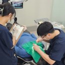 임플라인치과의원 이미지