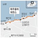 제주도 올레길 5월 초에 갈 예정(예약완료) 이미지