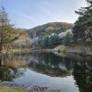 이마트24 아산호서대점