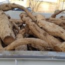 매일건강원 이미지