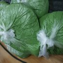 용래농장 이미지