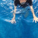 중부-현장-중부-1409 | 떠나요~ 추석 여수여행