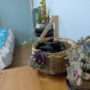 솔바다민박 이미지