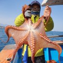 문어민박 이미지