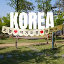 안성 가볼만한곳 안성맞춤랜드 천문과학관 반려견 동반가능한 가족공원
