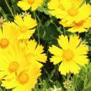 장매마을 이미지