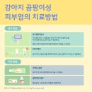 대흥동물병원 이미지