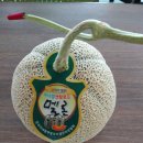 장춘농장 이미지