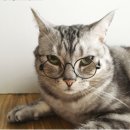 시선안경원 이미지