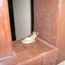 성대경희한의원 이미지