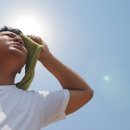 라이브부동산중개 이미지