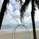 조형기푸드버드나무뷔페 | 다낭 하얏트 리젠시 부대시설 및 ‘오스트리아 알 마레’ 조식, ‘테라스’ 칵테일