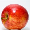 미국에 사과 종류 얼마나 알고 계십니까? 이미지