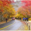 거창고등학교 이미지