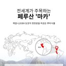 다운업
