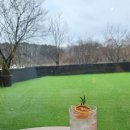 백곡할머니 이미지