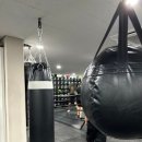 슈가복싱 이미지