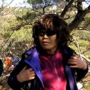 통도사자비원 이미지