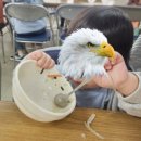 장동계족산농촌체험휴양마을 이미지