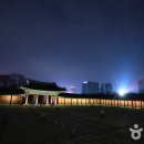 달빛 Daum카페
