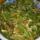 새순펜션 이미지