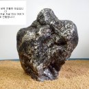 장군석 이미지