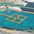 낚시매점 이미지