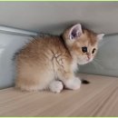 메종드센텀 이미지