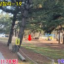솔밭178 네이버블로그