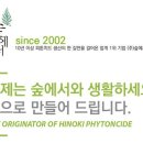 아이사랑 태권도 이미지