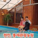 개인 | 천안물놀이 풍세관광농원 26년 리뉴얼 찐 후기 방문 전 필독!