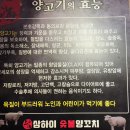 무한리필양꼬치송탄점 | [경기/평택] 송탄에서 훠궈·양꼬치·양갈비 무한리필?! 상하이 찐맛집 후기
