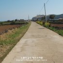 제주우도해안민박 이미지