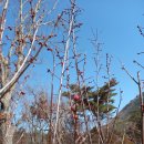 새실1길 이미지