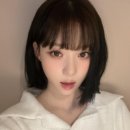 박 헤어컷