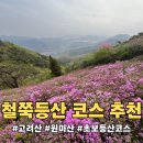 봄,강아지 Salon | 철쭉·진달래 시즌 가기 좋은 등산 코스 추천 | 강화 고려산 vs 부천 원미산 직접 다녀온 후기
