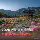 양평역 자전거주차장 | 2026 연꽃 명소 개화시기 총정리ㅣ서울·경기 근교부터 전국 추천까지
