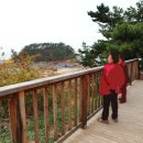 속동전망대 이미지