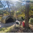 자연속캠핑장 이미지