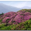 미룡약국 이미지